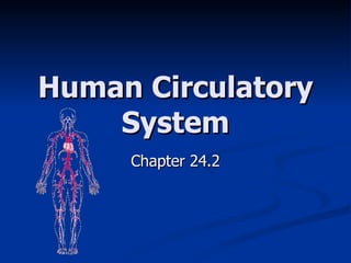 Human Circulatory System Chapter 24.2 
