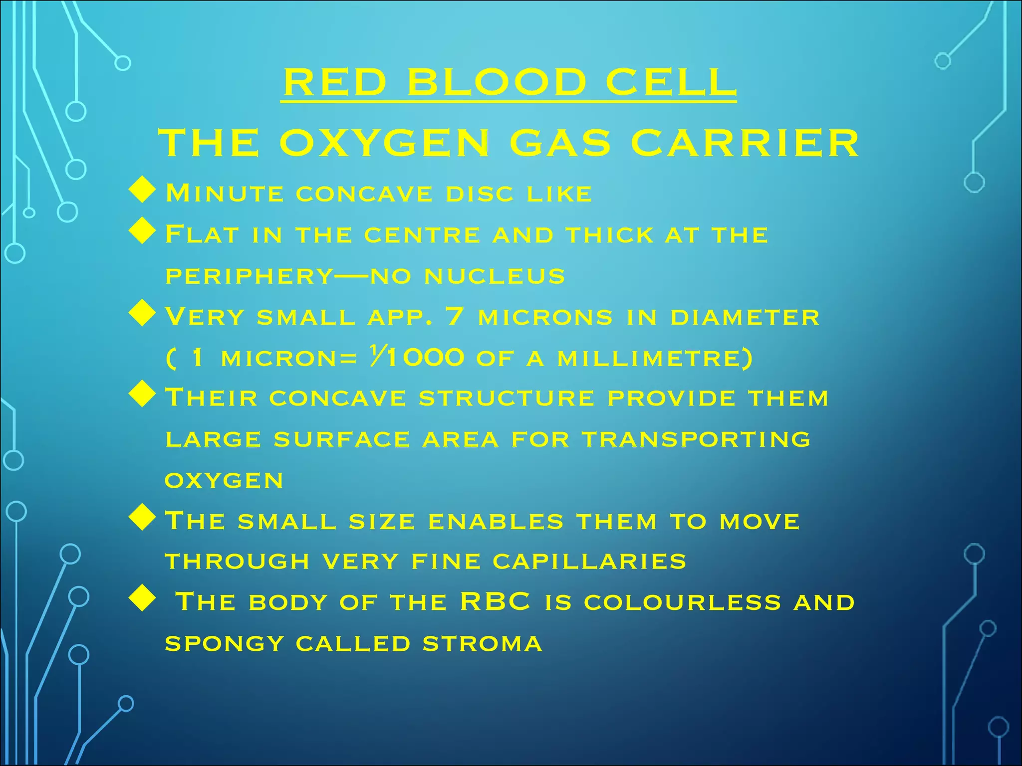 RED BLOOD CELL
THE OXYGEN GAS CARRIER
uMinute concave disc like
uFlat in the centre and thick at the
periphery—no nucleus
uVery small app. 7 microns in diameter
( 1 micron= ⅟1000 of a millimetre)
uTheir concave structure provide them
large surface area for transporting
oxygen
uThe small size enables them to move
through very fine capillaries
u The body of the RBC is colourless and
spongy called stroma
 