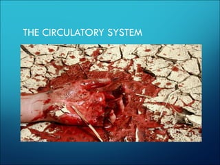 THE CIRCULATORY SYSTEM
 