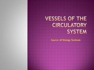 Vessels of the Circulatory System Source: AP Biology Textbook 