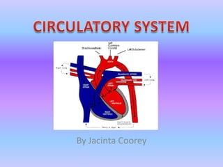 CIRCULATORY SYSTEM By Jacinta Coorey 