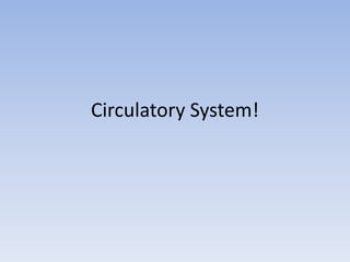 Circulatory System! 