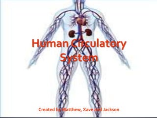 Human Circulatory System Created by Matthew, Xave and Jackson    