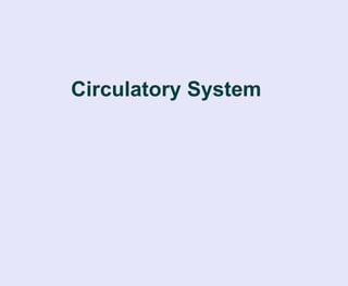Circulatory System 