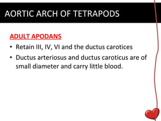 Circulatory system | PPT