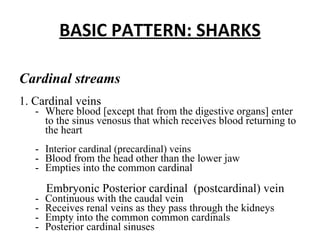 Circulatory system | PPT