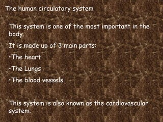 The human circulatory system ,[object Object],[object Object],[object Object],[object Object],[object Object],[object Object]