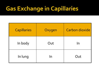 Gas Exchange in Capillaries
OutInIn lung
InOutIn body
Carbon dioxideOxygenCapillaries
 