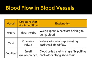 Blood Flow in Blood Vessels
Vessel
Structure that
aids blood flow
Explanation
Artery Elastic walls
Walls expand & contract helping to
pump blood
Vein
One-way
valves
Valves act as doors preventing
backward blood flow
Capillary
Small
circumference
Blood cells travel in single file pulling
each other along like a chain
 