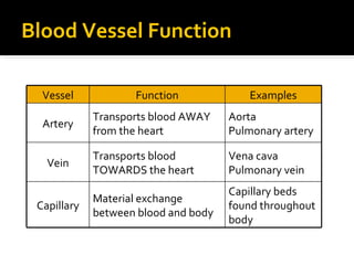 Blood Vessel Function
Vessel Function Examples
Artery
Transports blood AWAY
from the heart
Aorta
Pulmonary artery
Vein
Transports blood
TOWARDS the heart
Vena cava
Pulmonary vein
Capillary
Material exchange
between blood and body
Capillary beds
found throughout
body
 