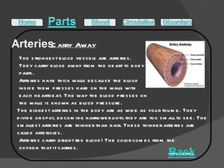 The strongest blood vessels are arteries. They carry blood away from the heart to body parts. Arteries have thick walls because the blood inside them presses hard on the walls with each heartbeat. The way the blood presses on the walls is known as blood pressure.  The biggest arteries in the body are as wide as your thumb. They divide or split, becoming narrower until they are too small to see. The smallest arteries are thinner than hair. These thinner arteries are called arterioles.  Arteries carry bright red blood! The color comes from the oxygen that it carries. Carry Away 