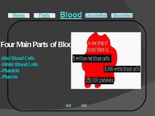 Four Main Parts of Blood: Red Blood Cells White Blood Cells Platelets Plasma 