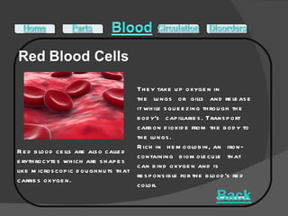 Red blood cells are also called erythrocytes which are shapes like microscopic doughnuts that carries oxygen. They take up oxygen in the lungs or gills and release it while squeezing through the body's capillaries. Transport carbon dioxide from the body to the lungs.  Rich in hemoglobin, an iron-containing biomolecule that can bind oxygen and is responsible for the blood's red color. 