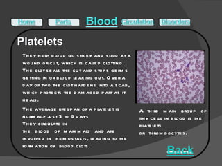 A third main group of tiny cells in blood is the platelets   or thrombocytes .  They help blood go sticky and solid at a wound or cut, which is called clotting. The clot seals the cut and stops germs getting in or blood leaking out. Over a day or two the clot hardens into a scab, which protects the damaged part as it heals.  The average lifespan of a platelet is normally just 5 to 9 days They circulate in the blood of mammals and are involved in hemostasis, leading to the formation of blood clots. 