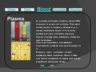 This has hundreds of different substances spread out or dissolved in it.  Plasma also contains many nutrients from our food. Body parts use these nutrients to grow and mend everyday wear and tear. . In a normal healthy person about 45% of blood is made up of cells. The rest of the blood is plasma. Plasma is a clear, yellowish liquid. It is mostly water, but also contains glucose (blood sugar), fats, proteins, vitamins and minerals.  