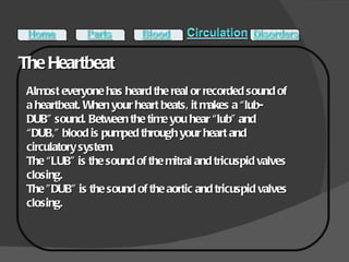 The Heartbeat Almost everyone has heard the real or recorded sound of a heartbeat. When your heart beats, it makes a “lub-DUB” sound. Between the time you hear “lub” and “DUB,” blood is pumped through your heart and circulatory system. The “LUB” is the sound of the mitral and tricuspid valves closing. The ”DUB” is the sound of the aortic and tricuspid valves closing. 