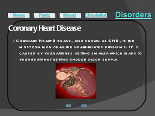 Coronary Heart Disease  - Coronary Heart Disease, also known as CHD, is the most common of all the heart-related problems. It’s caused by your arteries getting smaller which leads to your heart not getting enough blood supply. 