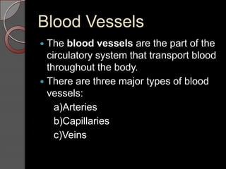 Blood Vessels
 The blood vessels are the part of the
  circulatory system that transport blood
  throughout the body.
 There are three major types of blood
  vessels:
    a)Arteries
    b)Capillaries
    c)Veins
 