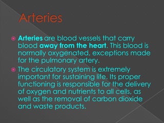  Arteries are blood vessels that carry
  blood away from the heart. This blood is
  normally oxygenated, exceptions made
  for the pulmonary artery.
 The circulatory system is extremely
  important for sustaining life. Its proper
  functioning is responsible for the delivery
  of oxygen and nutrients to all cells, as
  well as the removal of carbon dioxide
  and waste products.
 