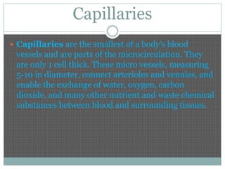 Capillaries
 Capillaries are the smallest of a body's blood
 vessels and are parts of the microcirculation. They
 are only 1 cell thick. These micro vessels, measuring
 5-10 in diameter, connect arterioles and venules, and
 enable the exchange of water, oxygen, carbon
 dioxide, and many other nutrient and waste chemical
 substances between blood and surrounding tissues.
 