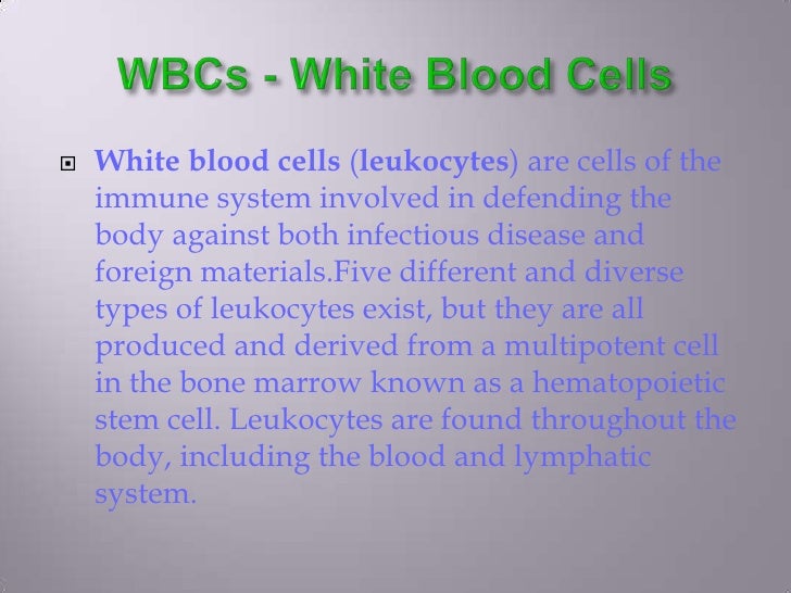 Circulatory system