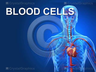 Circulatory system | PPTX