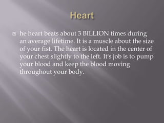    he heart beats about 3 BILLION times during
    an average lifetime. It is a muscle about the size
    of your fist. The heart is located in the center of
    your chest slightly to the left. It's job is to pump
    your blood and keep the blood moving
    throughout your body.
 