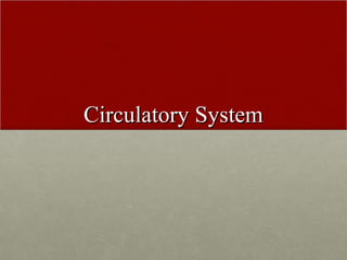 Circulatory System
 