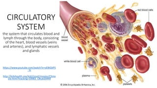 CIRCULATORY
SYSTEM
the system that circulates blood and
lymph through the body, consisting
of the heart, blood vessels (veins
and arteries), and lymphatic vessels
and glands
https://www.youtube.com/watch?v=oE8tGkP5
_tc
http://kidshealth.org/kid/closet/movies/CSmo
vie.html?tracking=59983_C#cat20449
 