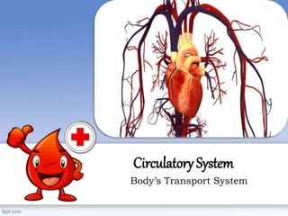 Circulatory System
Body’s Transport System
 