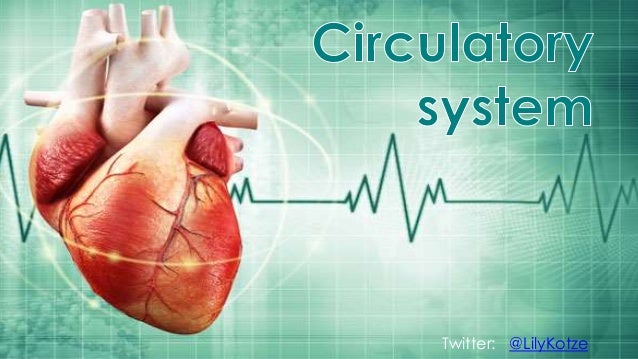 Circulatory system