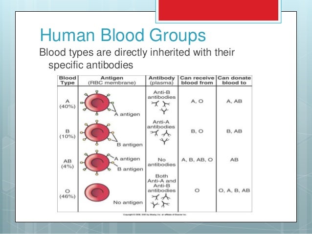 Circulatory system