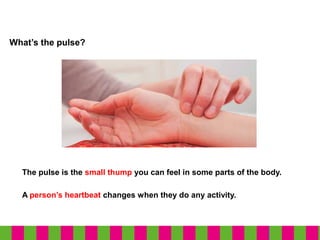 What’s the pulse?
A person’s heartbeat changes when they do any activity.
The pulse is the small thump you can feel in some parts of the body.
 