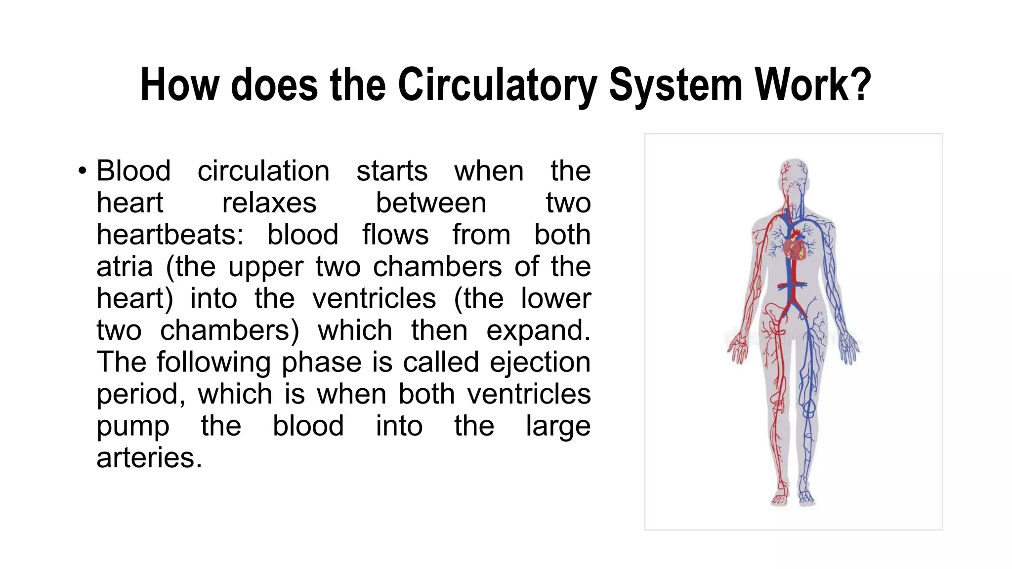 Circulatory system | PPTX