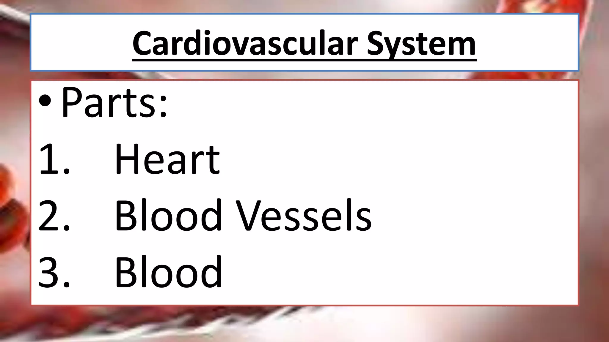 Cardiovascular System Parts And Function Ppt Cardiovascular System Parts And Function Ppt