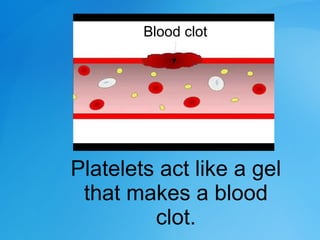 Platelets act like a gel
that makes a blood
clot.
Blood clot
 