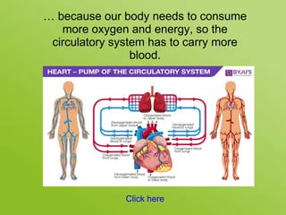… because our body needs to consume
more oxygen and energy, so the
circulatory system has to carry more
blood.
Click here
 