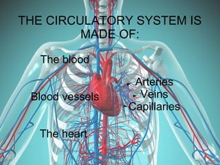 THE CIRCULATORY SYSTEM IS
MADE OF:
The blood
Blood vessels
The heart
Arteries
Veins
Capillaries
 