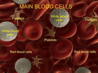 Red blood cells
White blood
cells
Platelets
Red blood cells
White blood
cells PlateletsPlatelets
MAIN BLOOD CELLS
 
