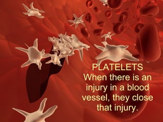 PLATELETS
When there is an
injury in a blood
vessel, they close
that injury.
 