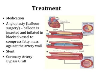 Anatomy of Circulatory system | PPT