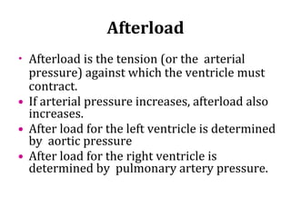Anatomy of Circulatory system | PPT