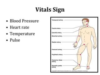 Anatomy of Circulatory system | PPT