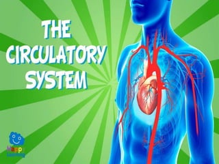 Parts and Functions of the
Circulatory System
 
