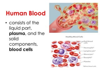 Human Blood
• consists of the
liquid part,
plasma, and the
solid
components,
blood cells
 