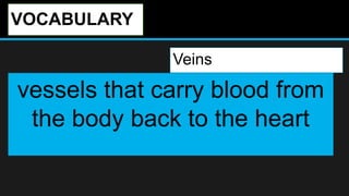 VOCABULARY
Veins
vessels that carry blood from
the body back to the heart
 