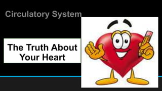 Circulatory System
The Truth About
Your Heart
 