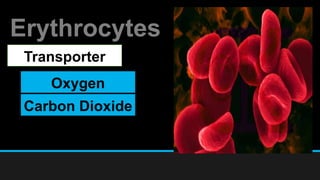Erythrocytes
Transporter
Oxygen
Carbon Dioxide
 