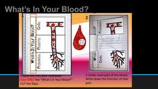 What’s In Your Blood?
 