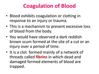 Coagulation of Blood
• Blood exhibits coagulation or clotting in
response to an injury or trauma.
• This is a mechanism to prevent excessive loss
of blood from the body.
• You would have observed a dark reddish
brown scum formed at the site of a cut or an
injury over a period of time.
• It is a clot formed mainly of a network of
threads called fibrins in which dead and
damaged formed elements of blood are
trapped.
 
